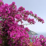 In Blue - La Terrazza Di Villa Positano