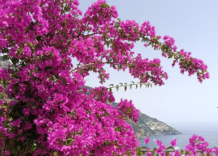 In Blue - La Terrazza Di Villa Positano