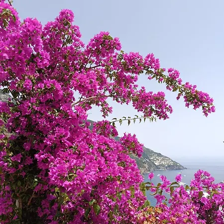 In Blue - La Terrazza Di Villa Positano